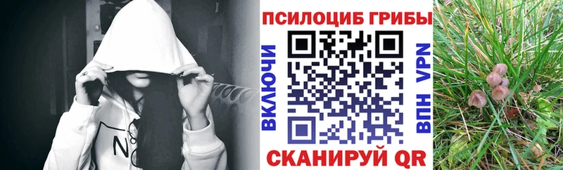 где купить Окуловка Псилоцибиновые грибы Magic Shrooms